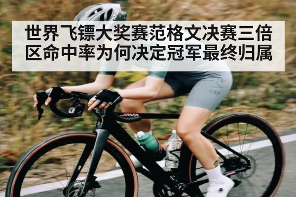 世界飞镖大奖赛范格文决赛三倍区命中率为何决定冠军最终归属